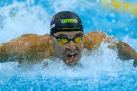 Fit-again Le Clos and Van Niekerk return, targeting world short course champs Fit-again Le Clos and Van Niekerk return, targeting world short course champs